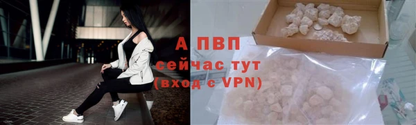 spice Волосово
