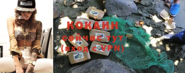 винт Лагань