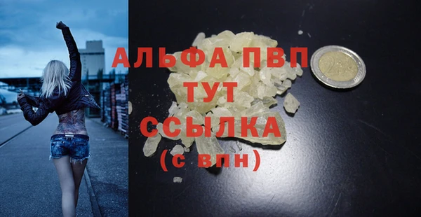 дурь Бородино
